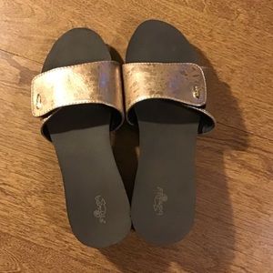 Bandals Brown and Gold Slide Sandals